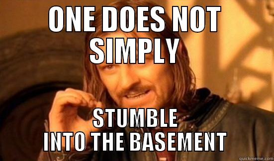 ONE DOES NOT SIMPLY STUMBLE INTO THE BASEMENT Boromir