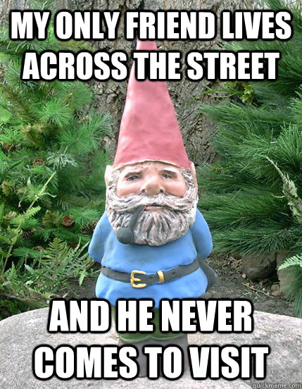 My only friend lives across the street and he never comes to visit  Forever a Gnome