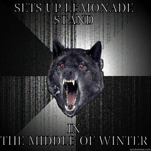 SETS UP LEMONADE STAND IN THE MIDDLE OF WINTER Insanity Wolf