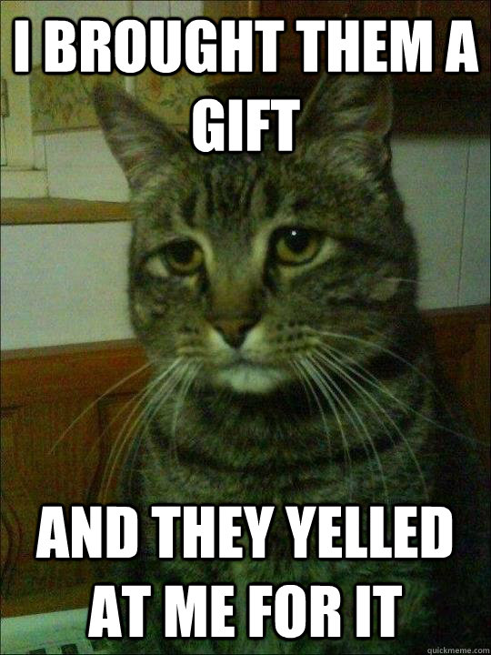 I brought them a gift And they yelled at me for it - I brought them a gift And they yelled at me for it  Depressed cat