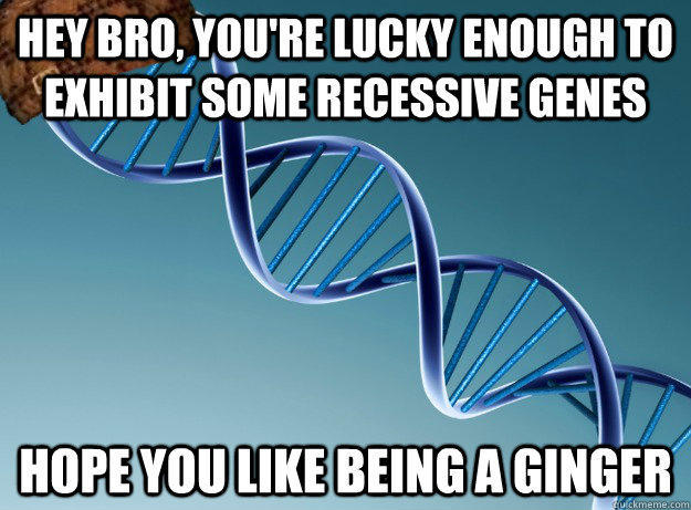 hey bro, you're lucky enough to exhibit some recessive genes hope you like being a ginger - hey bro, you're lucky enough to exhibit some recessive genes hope you like being a ginger  Scumbag Genetics