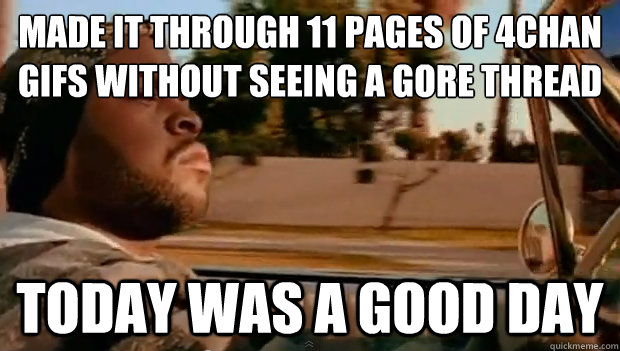 made it through 11 pages of 4chan gifs without seeing a gore thread Today was a good day - made it through 11 pages of 4chan gifs without seeing a gore thread Today was a good day  Misc