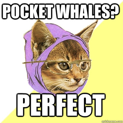 Pocket Whales? perfect  Hipster Kitty