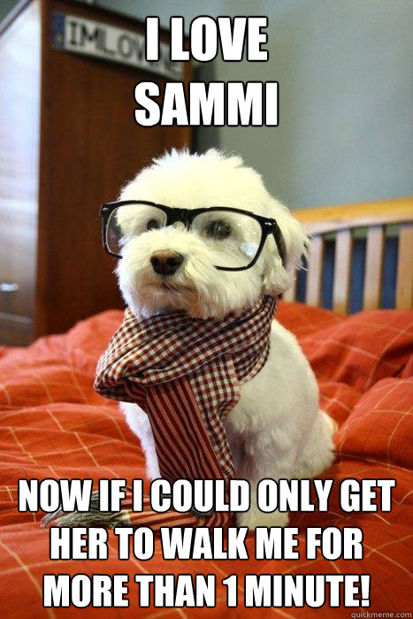 I LOVE 
SAMMI Now if i could only get her to walk me for more than 1 minute!  Hipster Dog