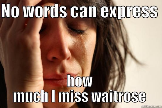 NO WORDS CAN EXPRESS  HOW MUCH I MISS WAITROSE First World Problems