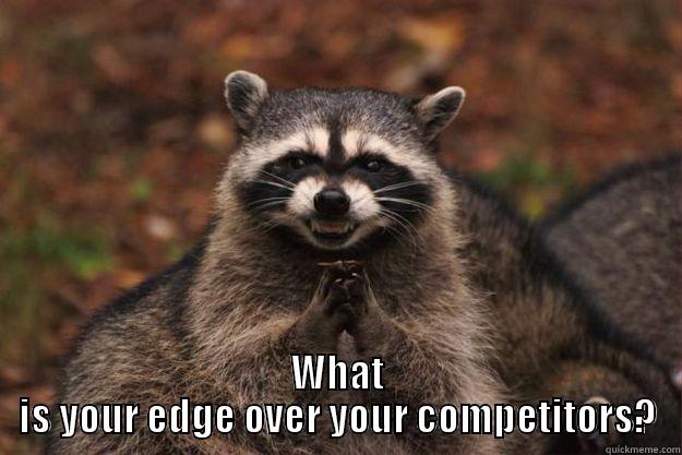  WHAT IS YOUR EDGE OVER YOUR COMPETITORS? Evil Plotting Raccoon