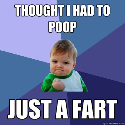 thought i had to poop just a fart  Success Kid