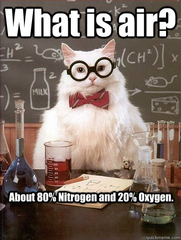 What is air? About 80% Nitrogen and 20% Oxygen.  Chemistry Cat