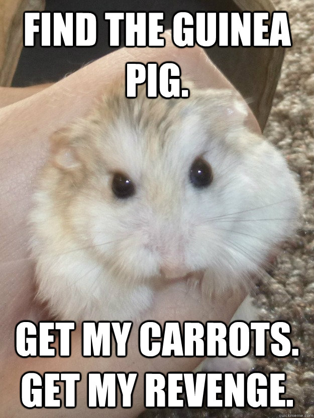 Find the Guinea Pig.  Get my carrots. Get my revenge.  Sad Hamster