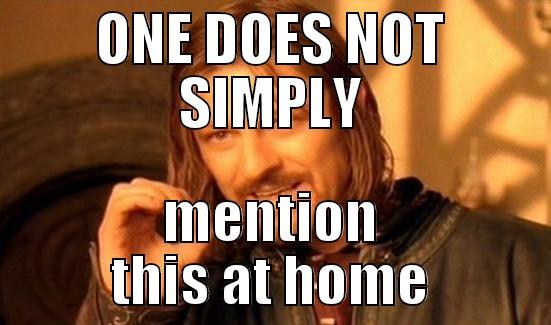 ONE DOES NOT SIMPLY MENTION THIS AT HOME Boromir