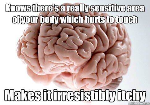 Knows there's a really sensitive area of your body which hurts to touch Makes it irresistibly itchy   Scumbag Brain