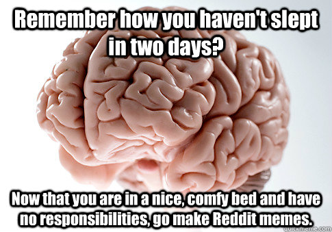 Remember how you haven't slept in two days? Now that you are in a nice, comfy bed and have no responsibilities, go make Reddit memes.   Scumbag Brain