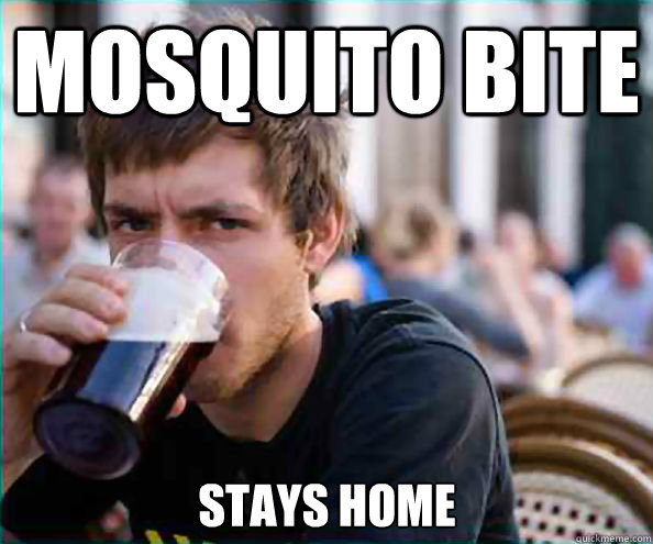 mosquito bite stays home  Lazy College Senior