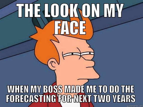 forecasting weird meme - THE LOOK ON MY FACE WHEN MY BOSS MADE ME TO DO THE FORECASTING FOR NEXT TWO YEARS Futurama Fry