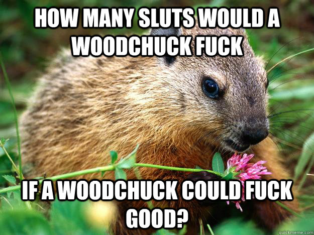 How many sluts would a woodchuck fuck if a woodchuck could fuck good? - How many sluts would a woodchuck fuck if a woodchuck could fuck good?  Angry Woodchuck