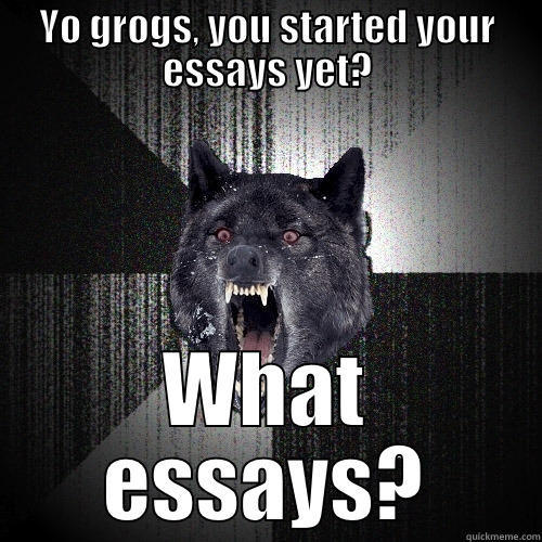 YO GROGS, YOU STARTED YOUR ESSAYS YET? WHAT ESSAYS? Insanity Wolf
