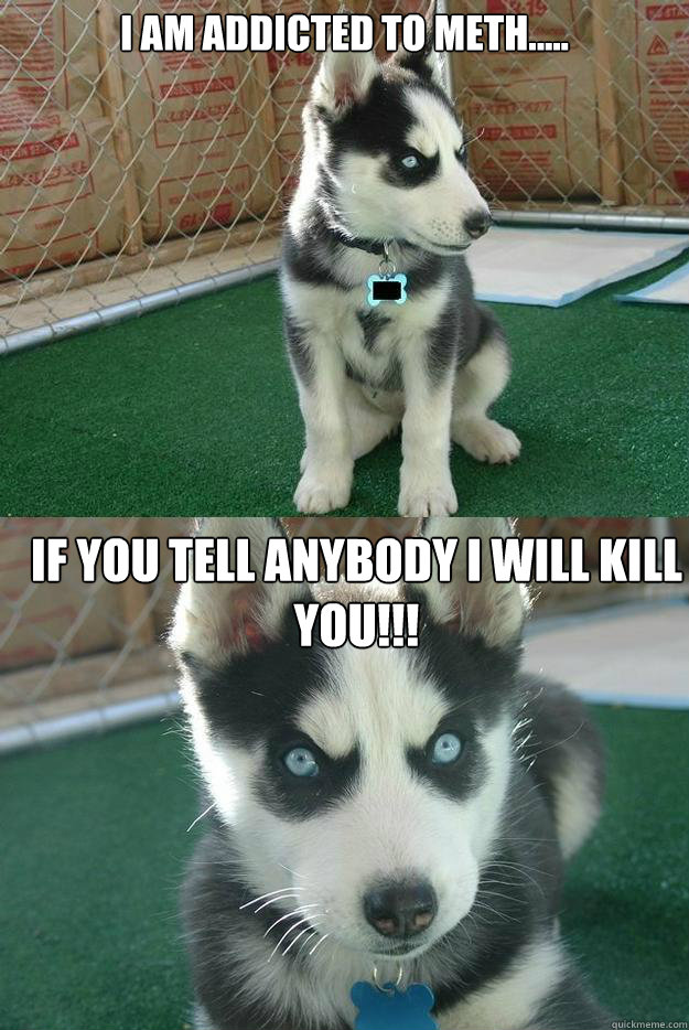 I AM ADDICTED TO METH..... IF YOU TELL ANYBODY I WILL KILL YOU!!!  Insanity puppy