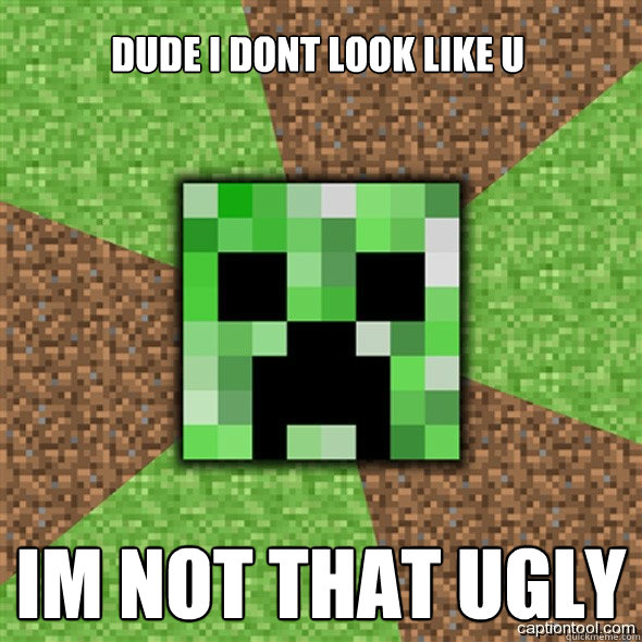 dude i dont look like u im not that ugly  Minecraft Creeper