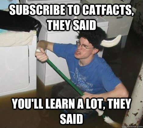 Subscribe to catfacts, they said you'll learn a lot, they said  They said