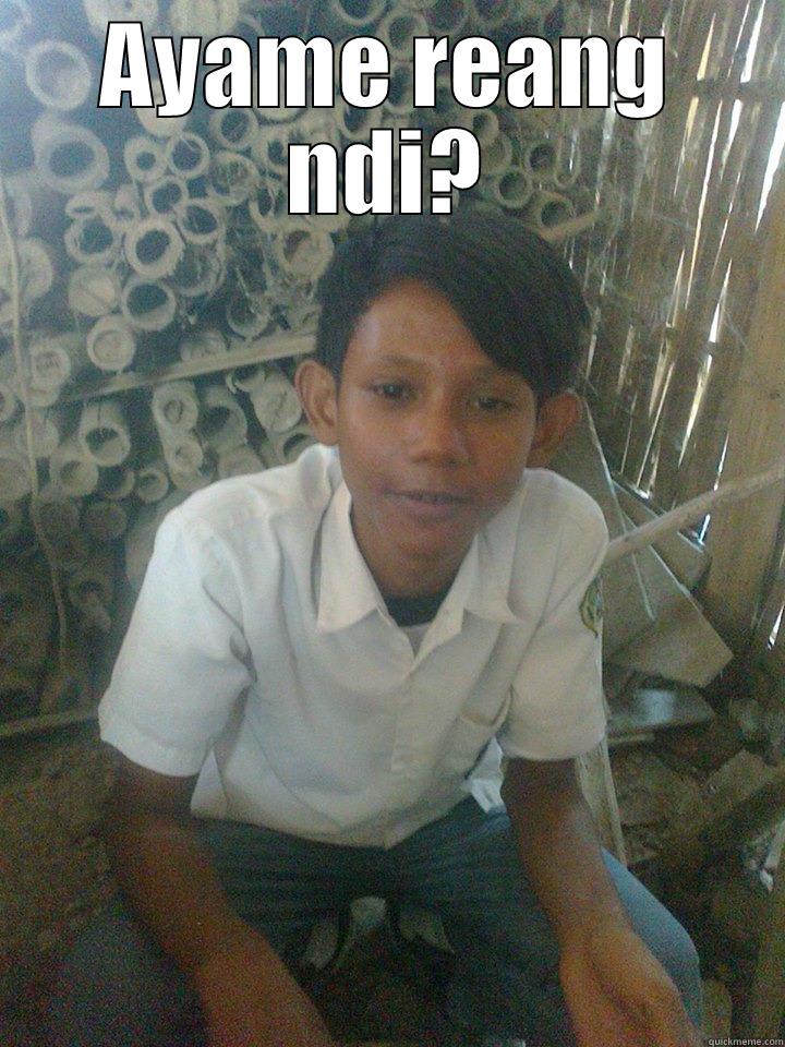 aji bae - AYAME REANG NDI?  Misc