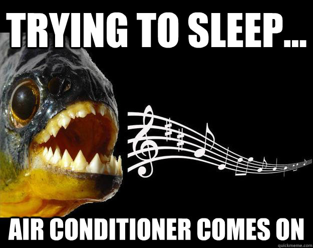 Trying to sleep... Air conditioner comes on  