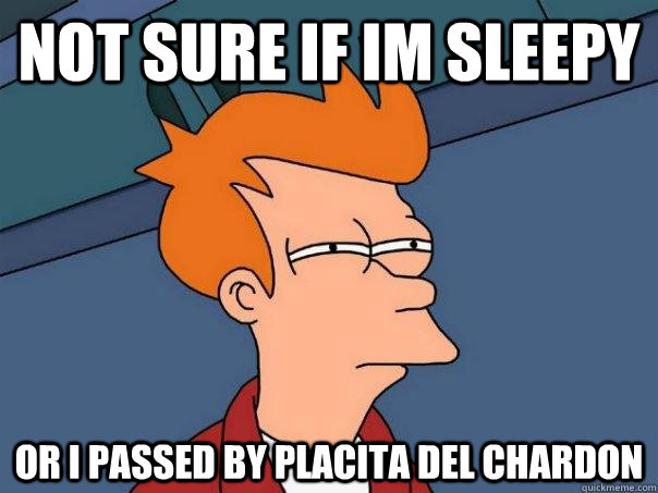 Not sure if im sleepy Or i passed by placita del chardon  Futurama Fry