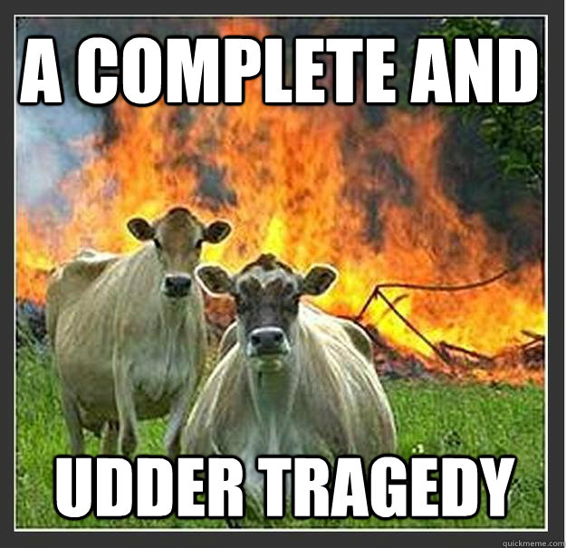 a complete and udder tragedy  Evil cows