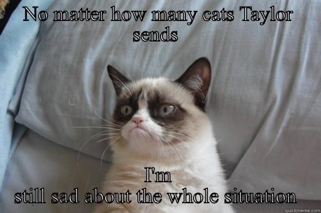 NO MATTER HOW MANY CATS TAYLOR SENDS  I'M STILL SAD ABOUT THE WHOLE SITUATION  Grumpy Cat