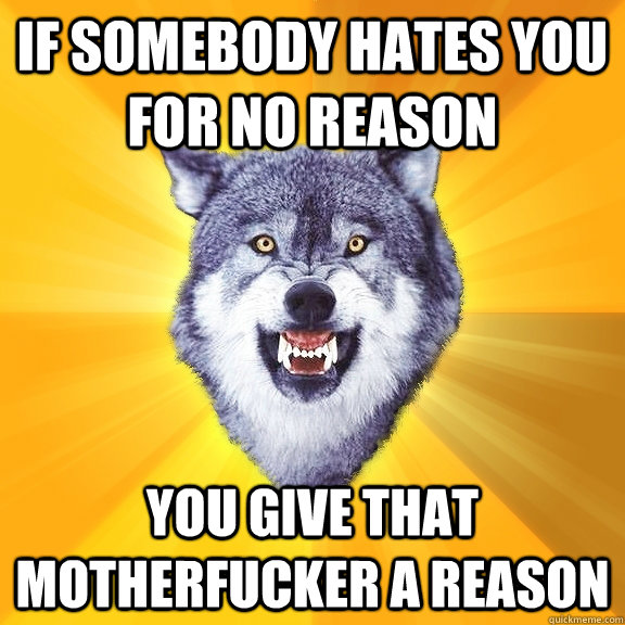 If somebody hates you for no reason You give that motherfucker a reason  Courage Wolf