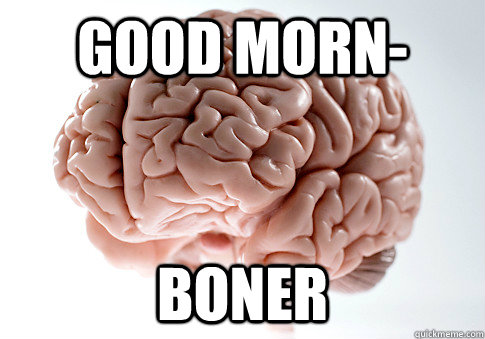 Good Morn- Boner  Scumbag Brain