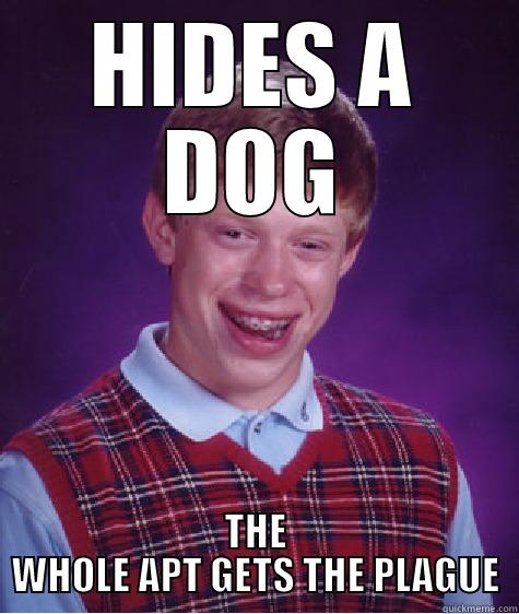HIDES A DOG THE WHOLE APT GETS THE PLAGUE Bad Luck Brian