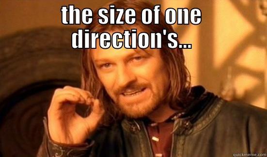 THE SIZE OF ONE DIRECTION'S...  Boromir