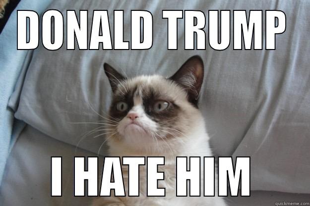 lol :D - DONALD TRUMP I HATE HIM Grumpy Cat