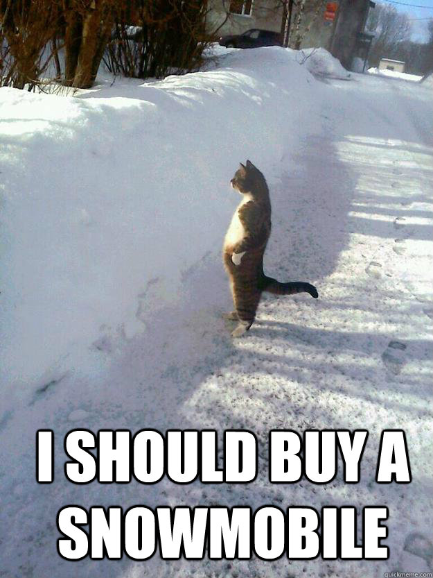  I should buy a snowmobile  CatSnowbank