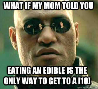 what if my mom told you eating an edible is the only way to get to a [10]  Matrix Morpheus