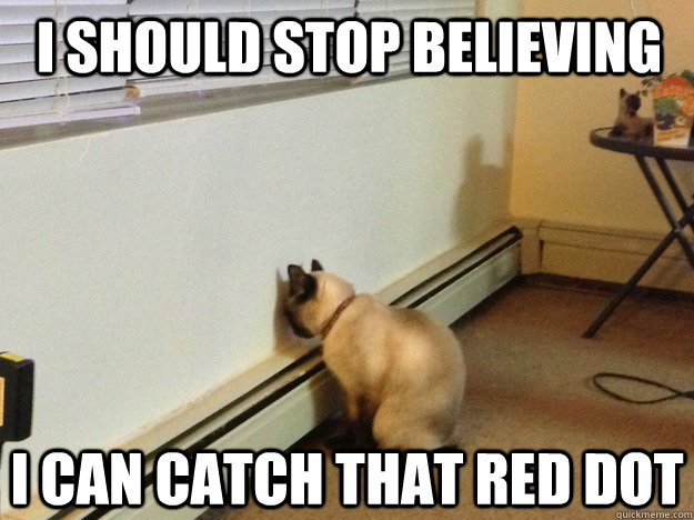 I should stop believing I can catch that red dot - I should stop believing I can catch that red dot  Regretful Cat