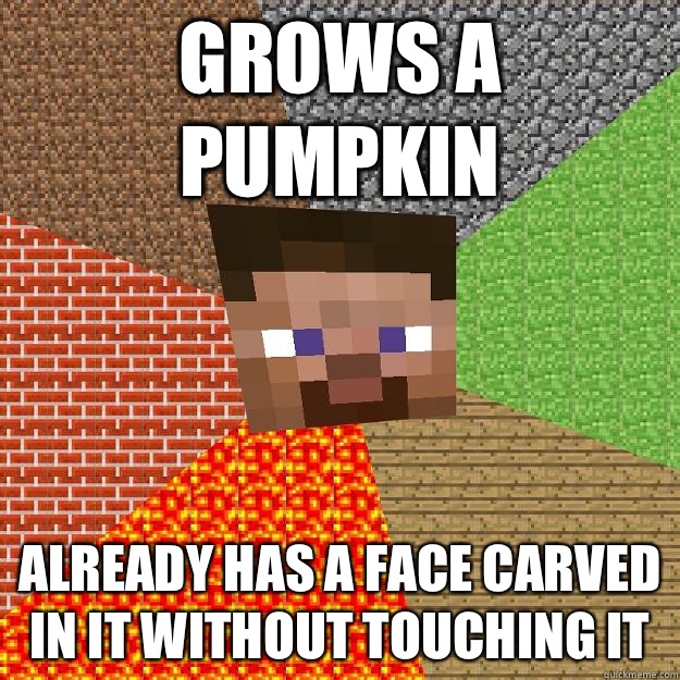 GROWS A PUMPKIN ALREADY HAS A FACE CARVED IN IT WITHOUT TOUCHING IT  Minecraft