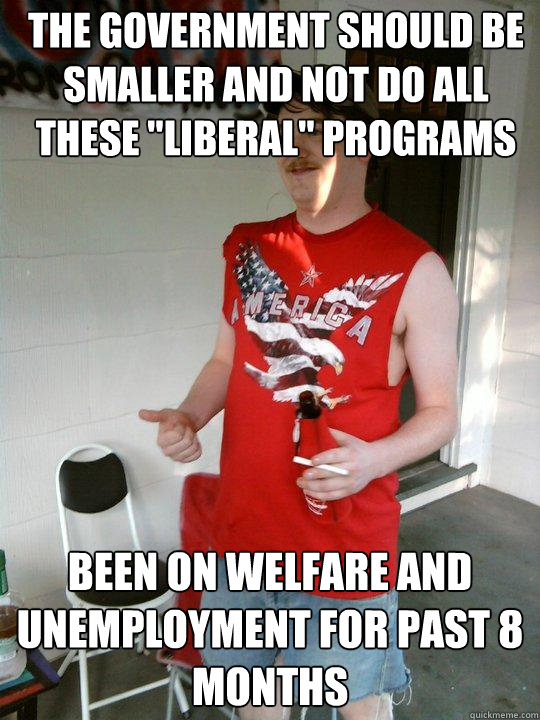 The Government should be smaller and not do all these 
