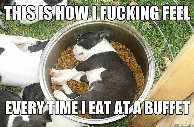 this is how i fucking feel every time i eat at a buffet  Food Coma