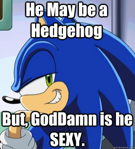 He May be a Hedgehog But, GodDamn is he SEXY.  Sonic Sexy Face