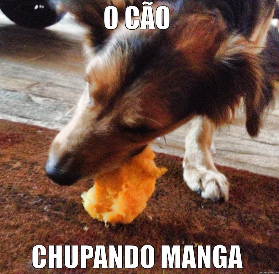 cão chupando manga - O CÃO CHUPANDO MANGA Misc