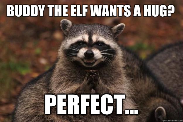 Buddy the elf wants a hug? Perfect...  Evil Plotting Raccoon