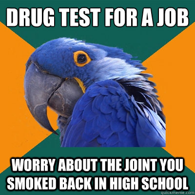 Drug test for a job
 worry about the joint you smoked back in high school  Paranoid Parrot