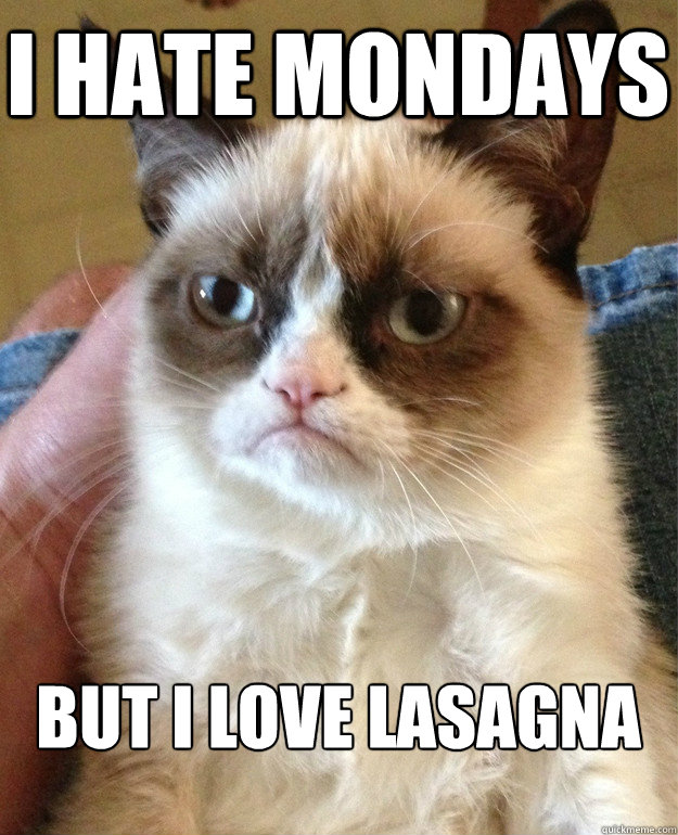 I hate mondays But I love lasagna  Grumpy Cat