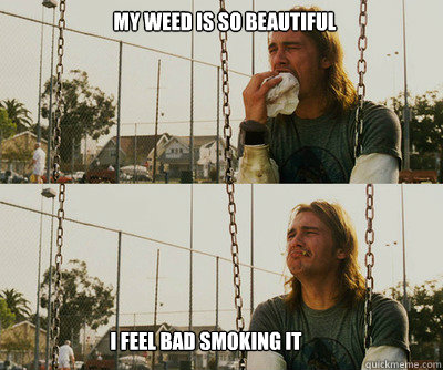 My weed is so beautiful I feel bad smoking it  First World Stoner Problems