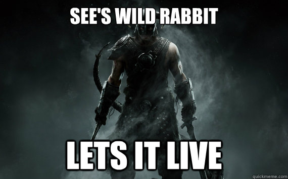 see's wild rabbit lets it live - see's wild rabbit lets it live  good guy skyrim