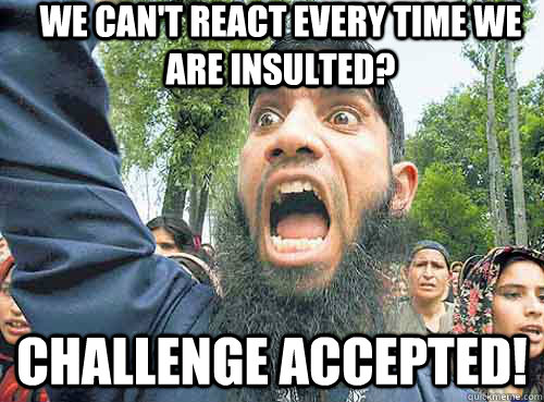 We can't react every time we are insulted? Challenge Accepted! - We can't react every time we are insulted? Challenge Accepted!  Angry Muslim Guy