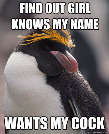 Find out girl knows my name wants my cock  Socially Overconfident Penguin