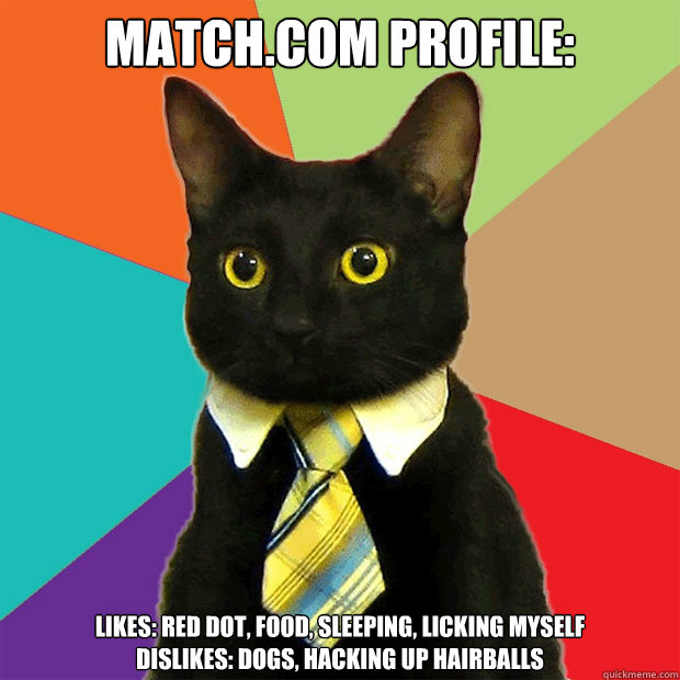 Match.com Profile: Likes: Red dot, food, sleeping, licking myself  
Dislikes: Dogs, Hacking up Hairballs - Match.com Profile: Likes: Red dot, food, sleeping, licking myself  
Dislikes: Dogs, Hacking up Hairballs  Business Cat
