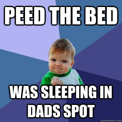 Peed the bed was sleeping in dads spot  Success Kid
